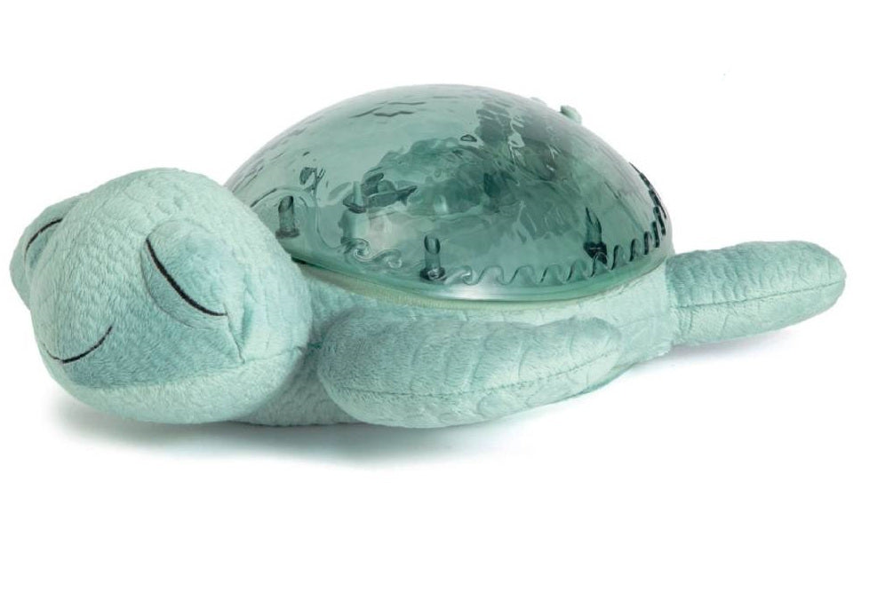 TRANQUIL TURTLE VERDE ACQUA CLOUD B