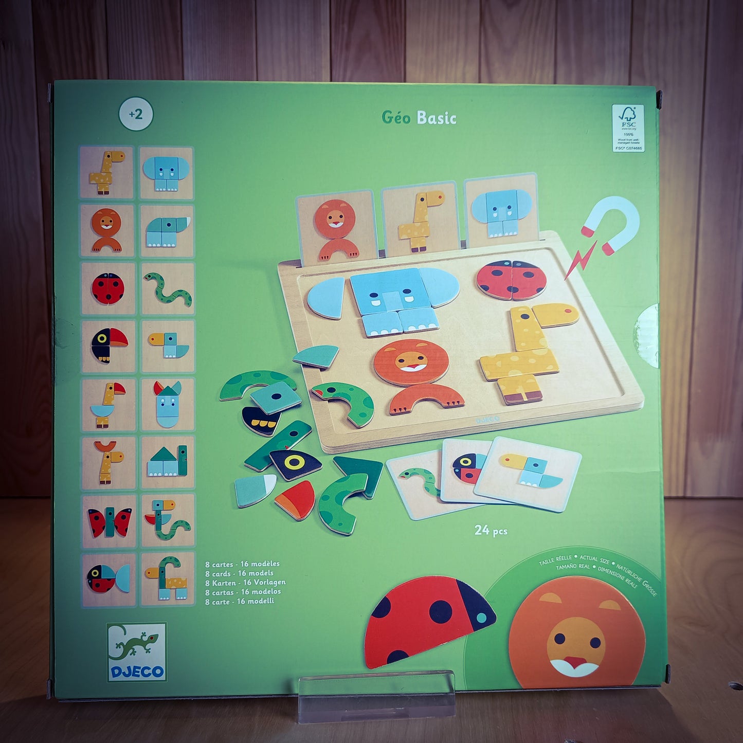 GIOCO MAGNETICO GEO BASIC DJECO