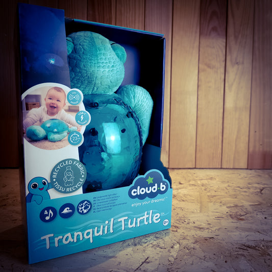 TRANQUIL TURTLE VERDE ACQUA